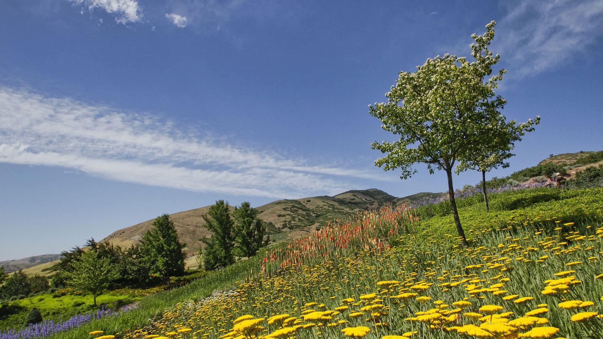 1920x1080 red butte garden, salt lake city, utah, flowers, botanical garden, utah desktop wallpaper 72997