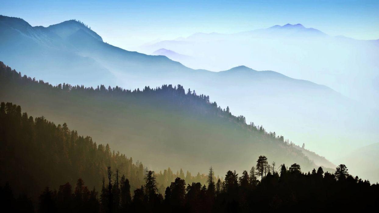 1244x700 Landscape nature tree forest woods mountains haze fog wallpaperx1080