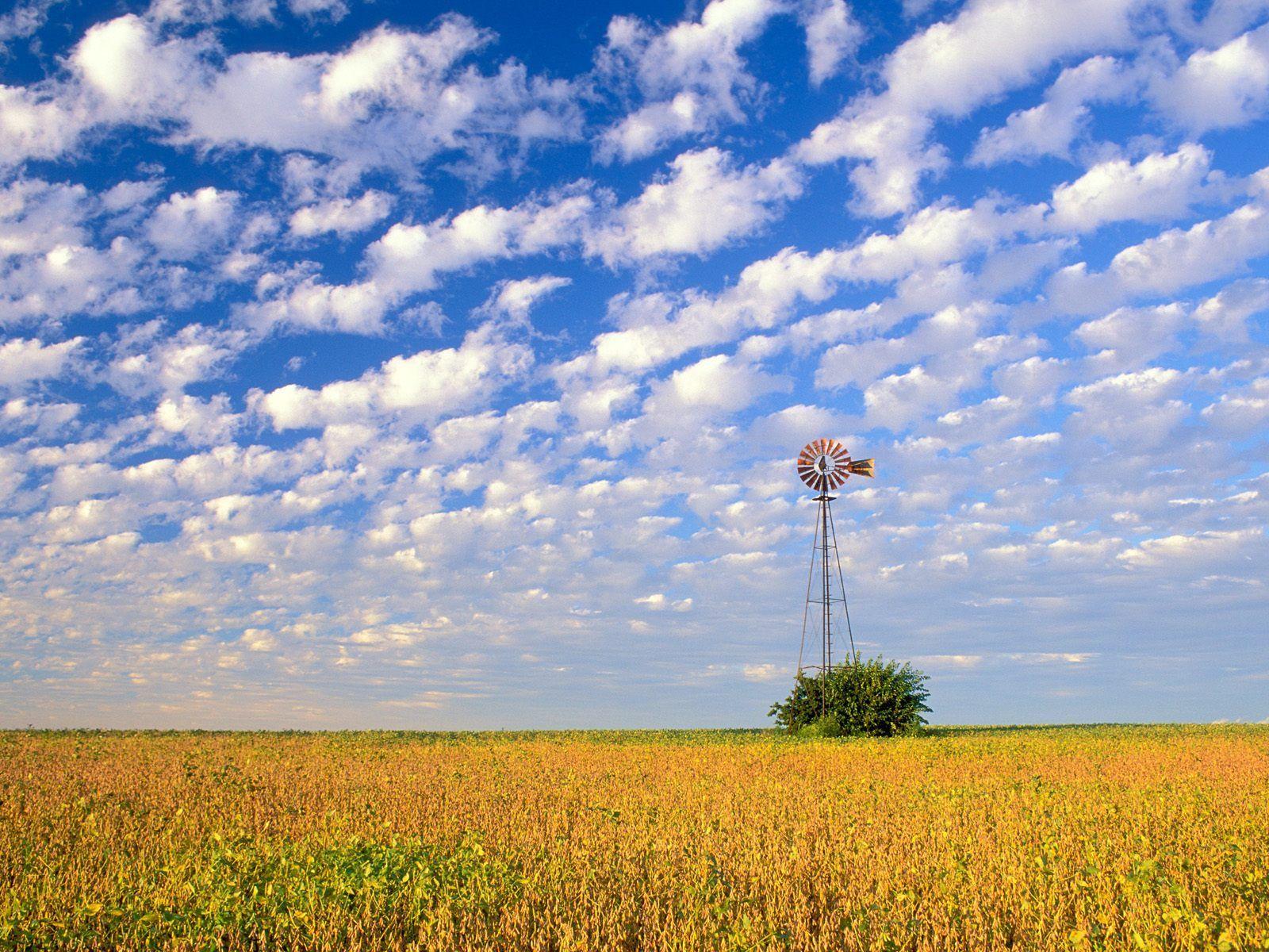 Prairie Background