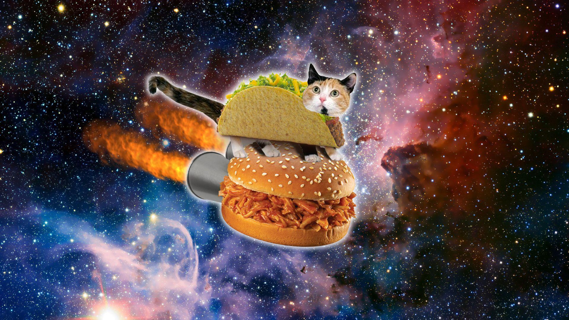 1920x1080 Free Space Cat Wallpaper Mobile
