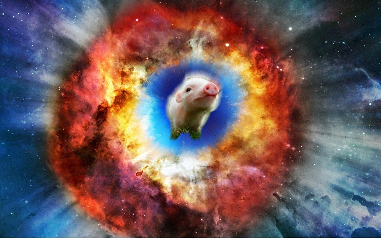 1280x801 Almighty Flying Supernova Pig Wallpaper!: pigs