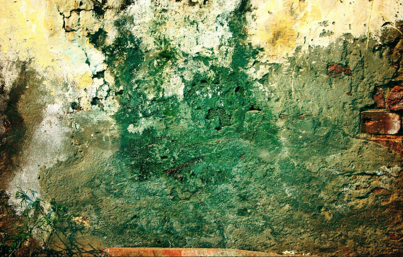 1332x850 Wallpaper green, wall, pattern, grunge, plant, brick, dirty image for desktop, section текстуры