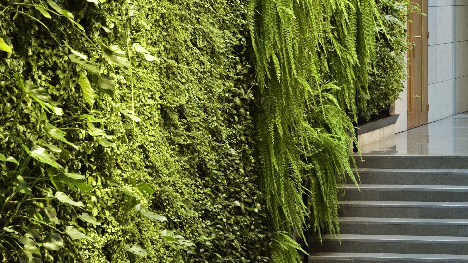 Green Wall Wallpapers - Top Free Green Wall Backgrounds - WallpaperAccess