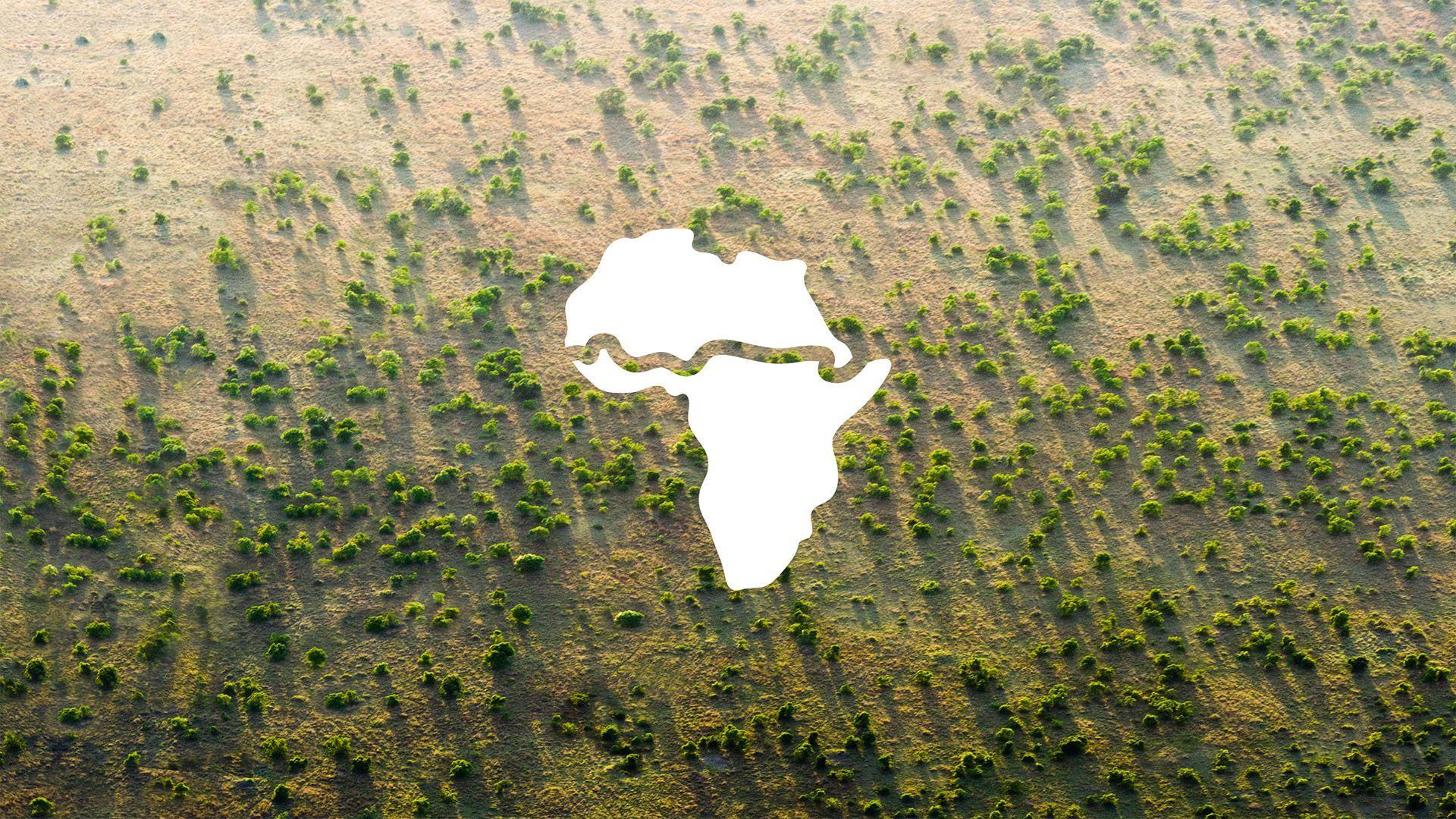 1920x1080 Can Africa's Great Green Wall Combat Climate Change and Mass Migration?