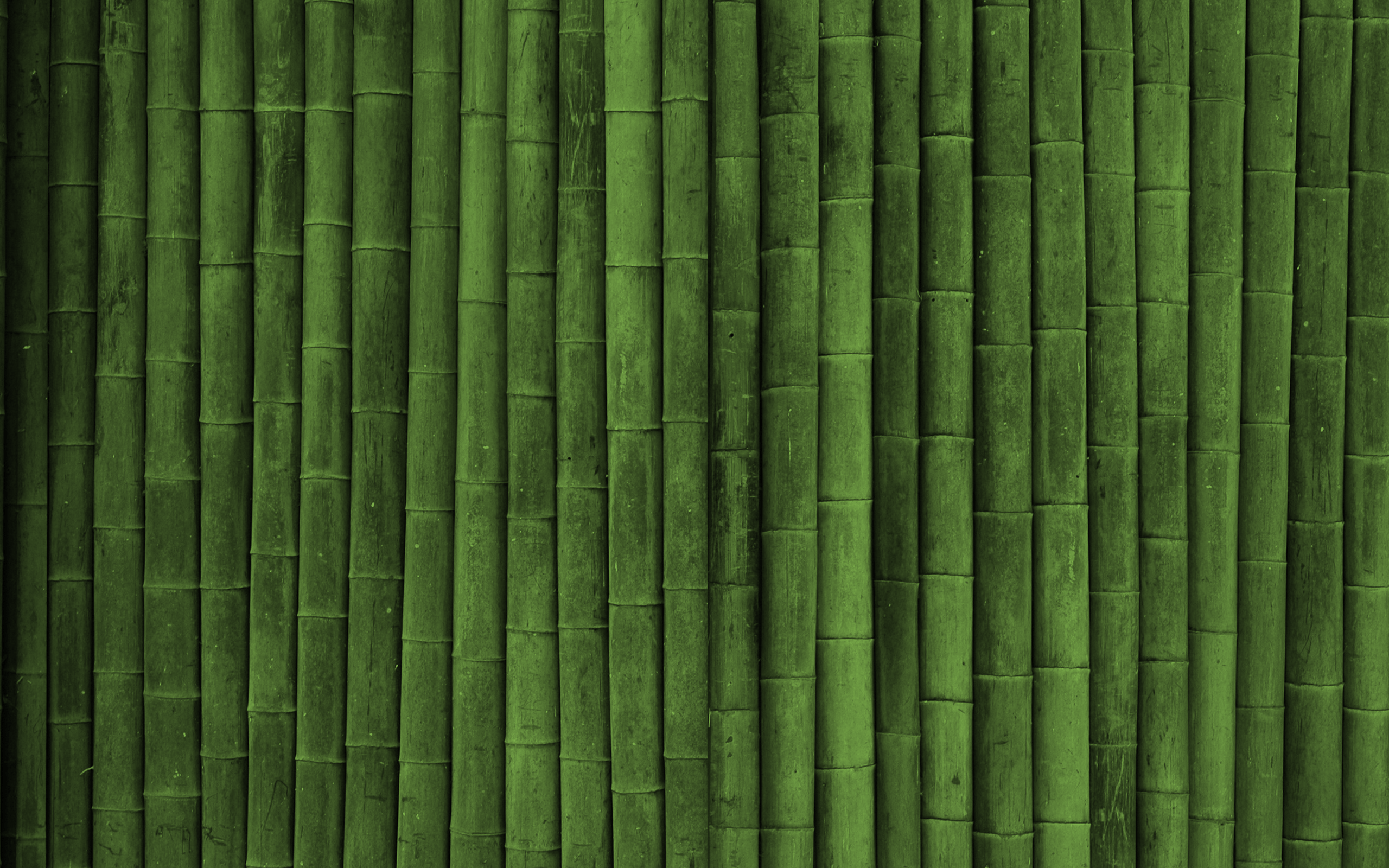 Green Wall Wallpapers - Top Free Green Wall Backgrounds - WallpaperAccess