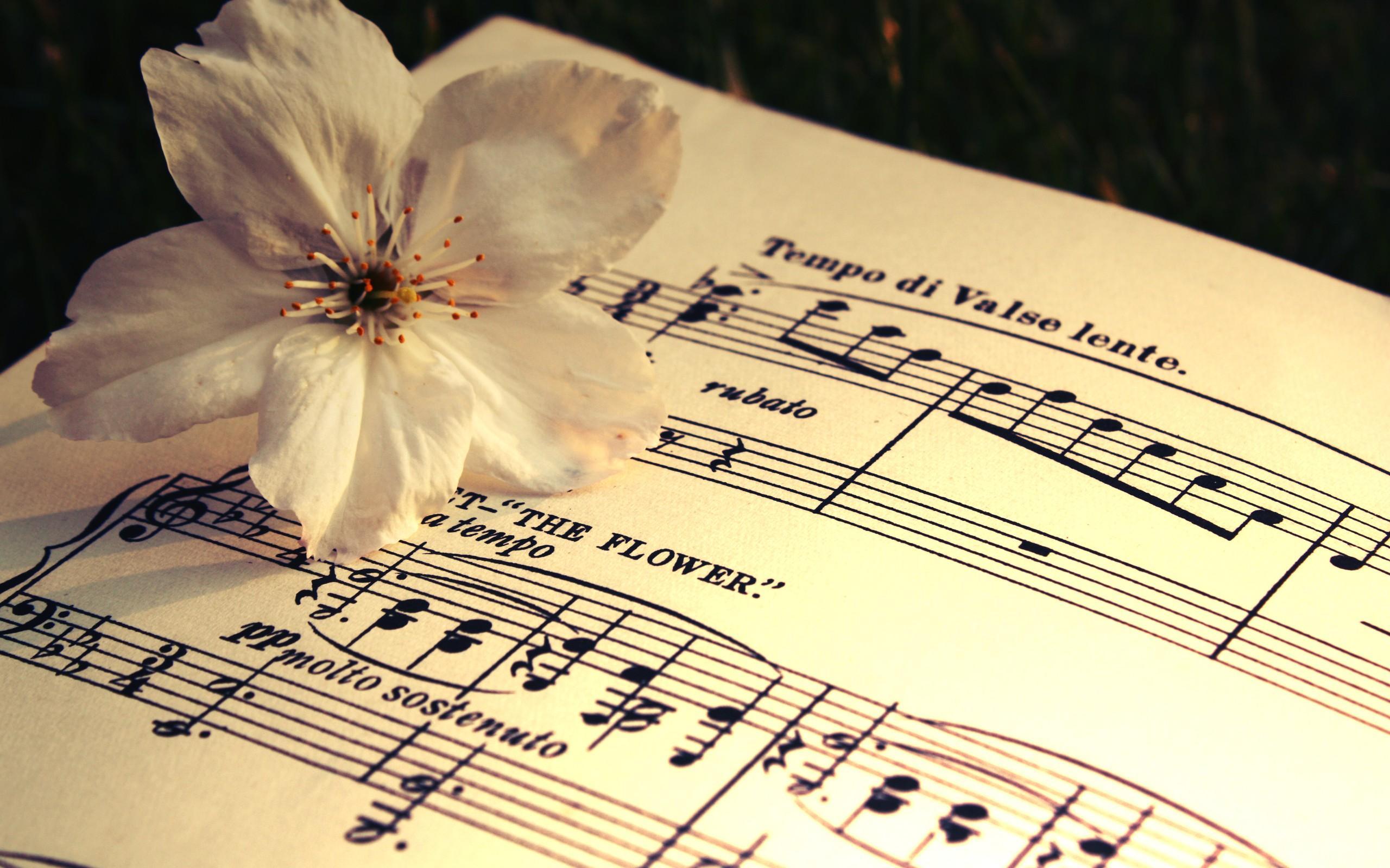 2560x1600 Sheet music wallpaper