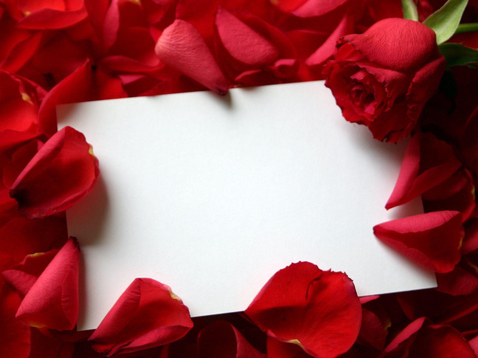 1600x1200 Free download Valentines Day Roses Wallpaper Greetings Cards For [1600x1200] for your Desktop, Mobile & Tablet. Explore Free Wallpaper Roses. Free Roses Wallpaper, Free Wallpaper Roses 3D Background