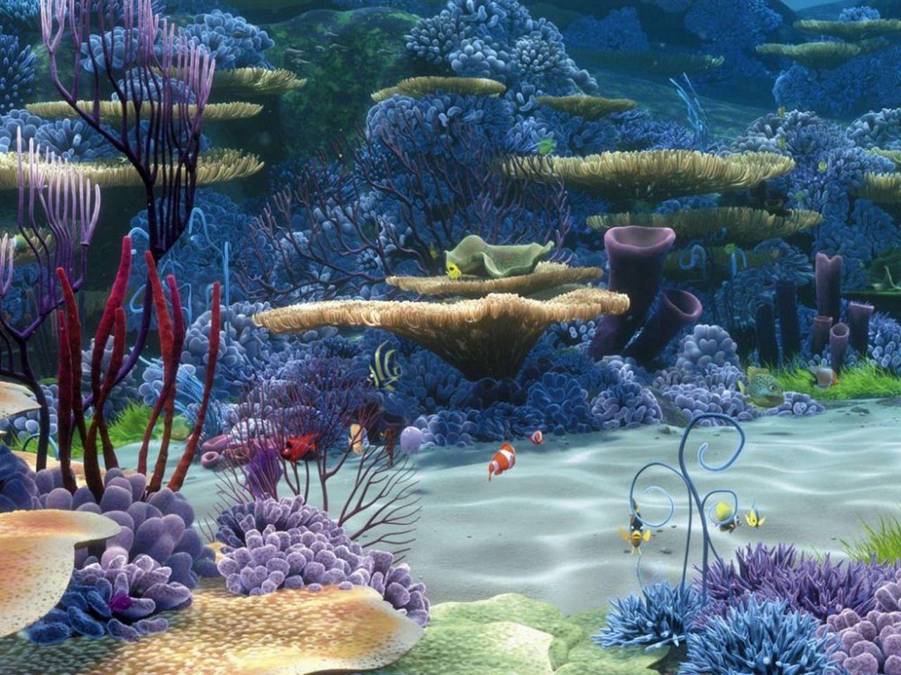 1280x960 Desktop Wallpaper Underwater world Corals Animals