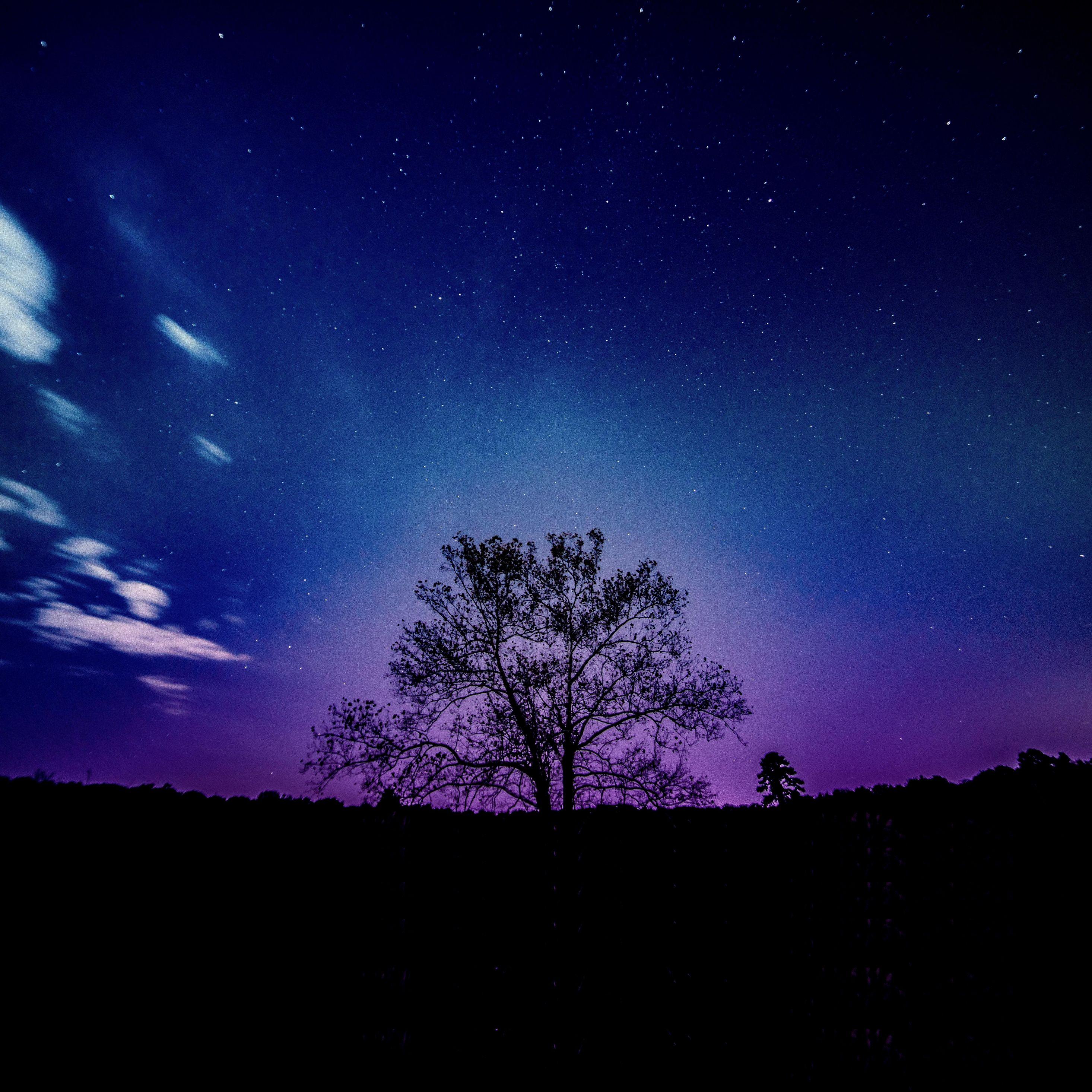 2932x2932 Download 2932x2932 wallpaper tree, galaxy, sky, silhouette, ipad pro retina, 2932x2932 HD image, background, 16837