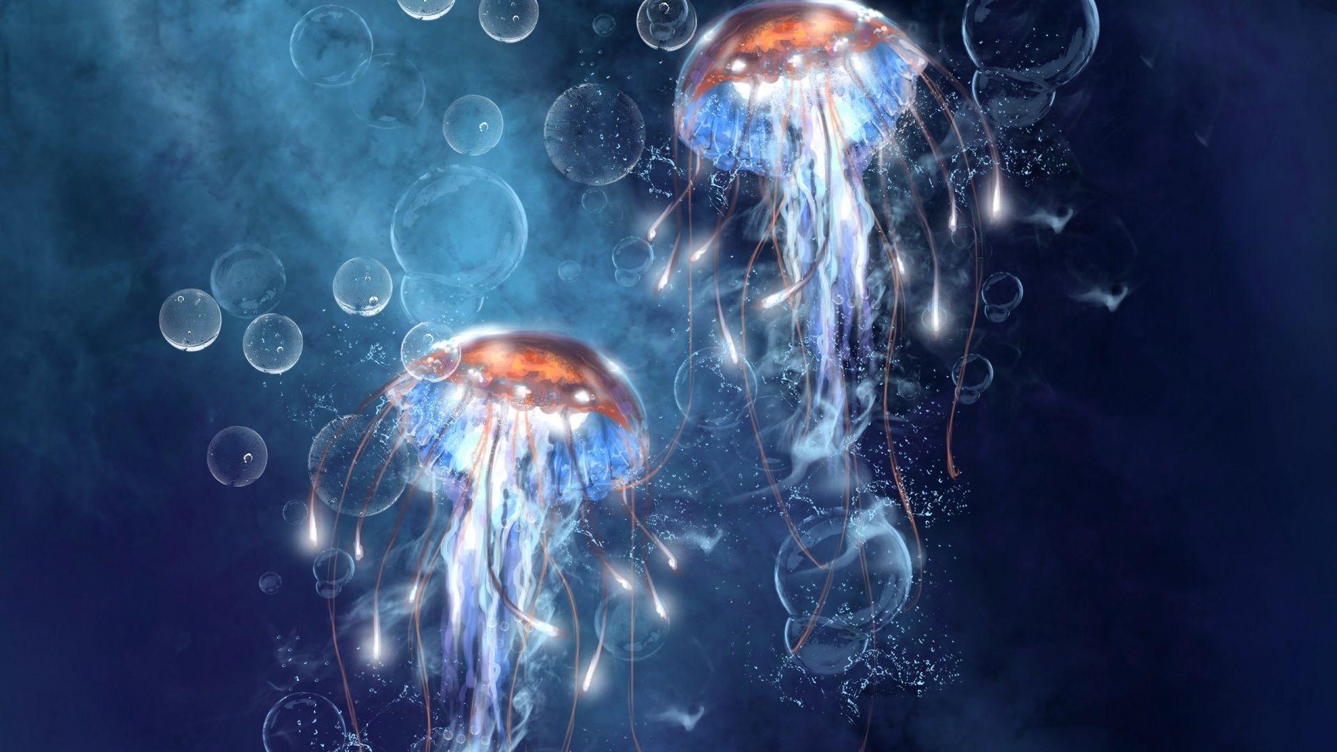1920x1080 Jellyfish Wallpaper
