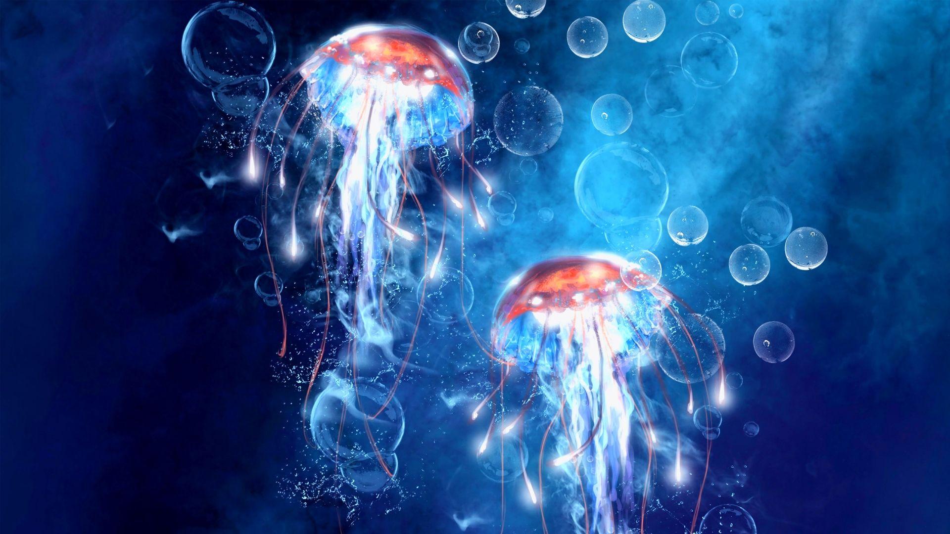 Jellyfish Desktop Wallpapers Top Free Jellyfish Desktop Backgrounds
