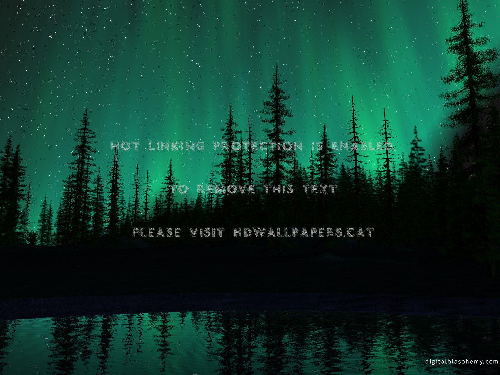 1600x1200 aurora borealis ( northern lights) forest