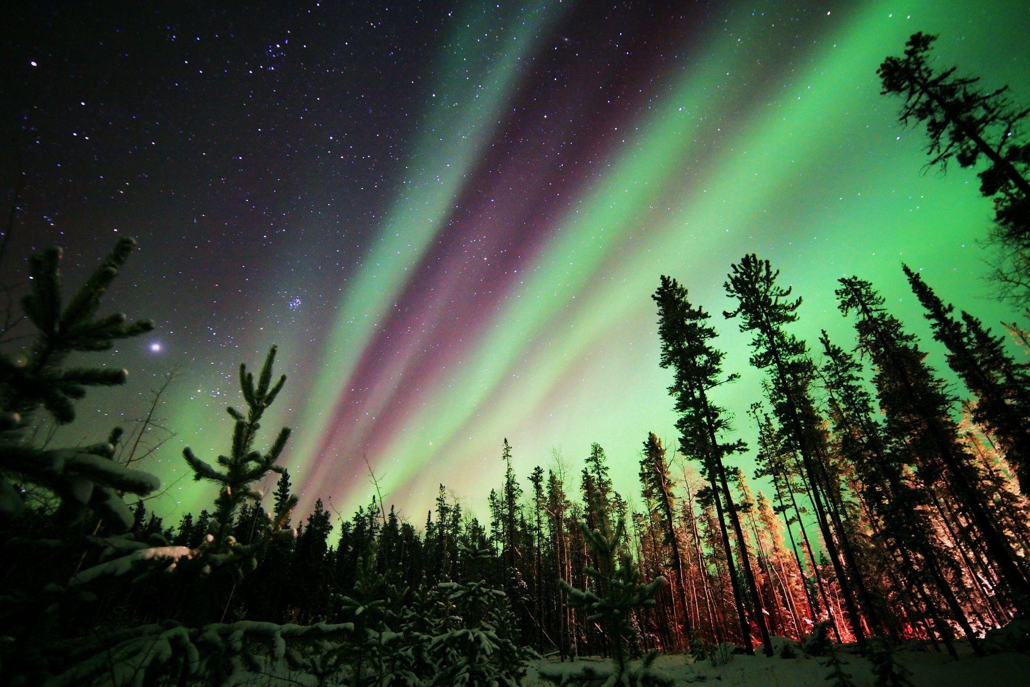 2048x1366 Wallpaper northern lights, aurora borealis, forest, night, stars, winter desktop wallpaper Nature