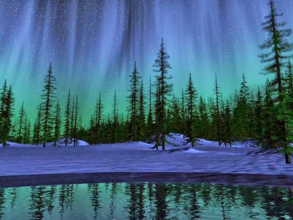 1024x768 northern lights desktop background. Wallpaper Desk : Northern Lights Wallpaper Desk. Northern lights wallpaper, Northern lights painting, Night forest