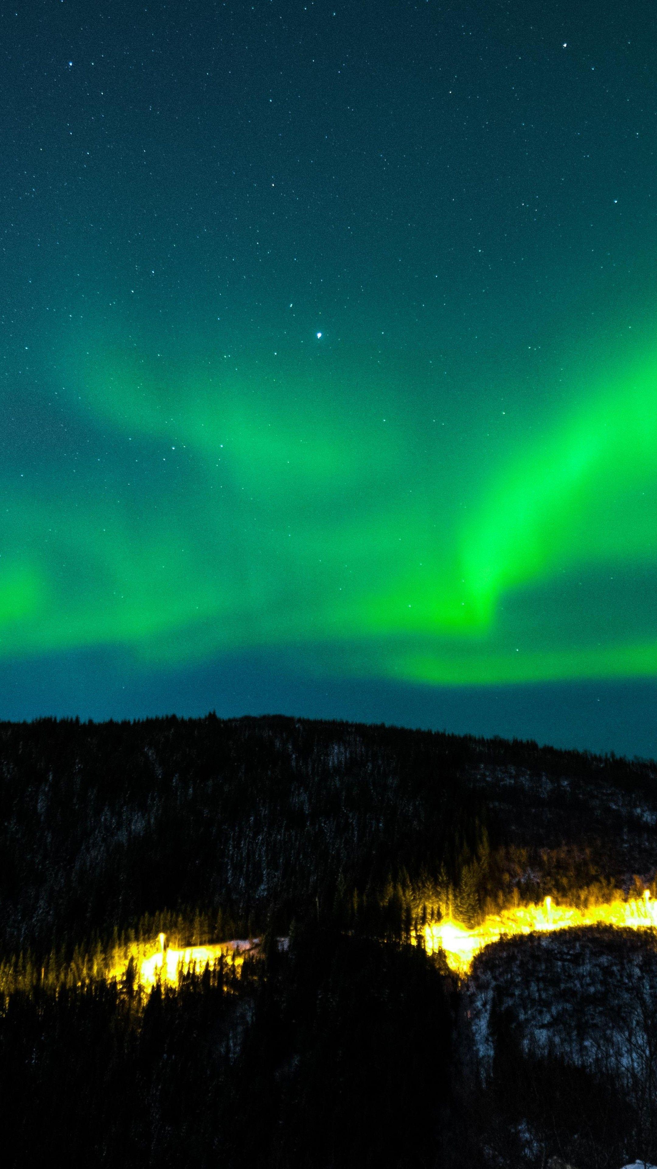 2160x3840 Wallpaper northern lights, sky, winter, mountains, forest, 5k, Nature