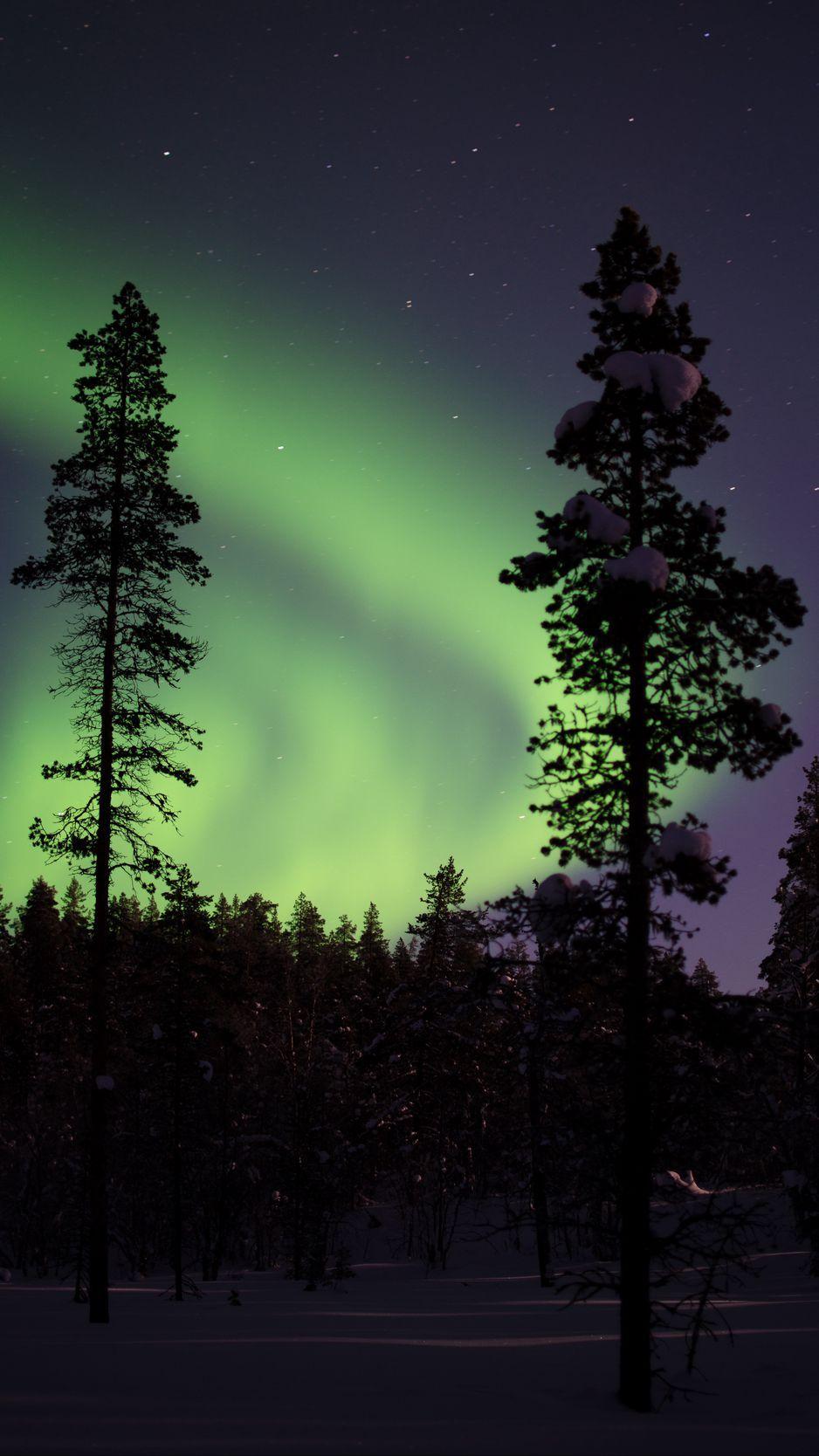 938x1668 Download Wallpaper 938x1668 Northern Lights, Aurora, Trees, Snow, Forest, Night, Snowy Iphone 8 7 6s 6 For Parallax HD Background
