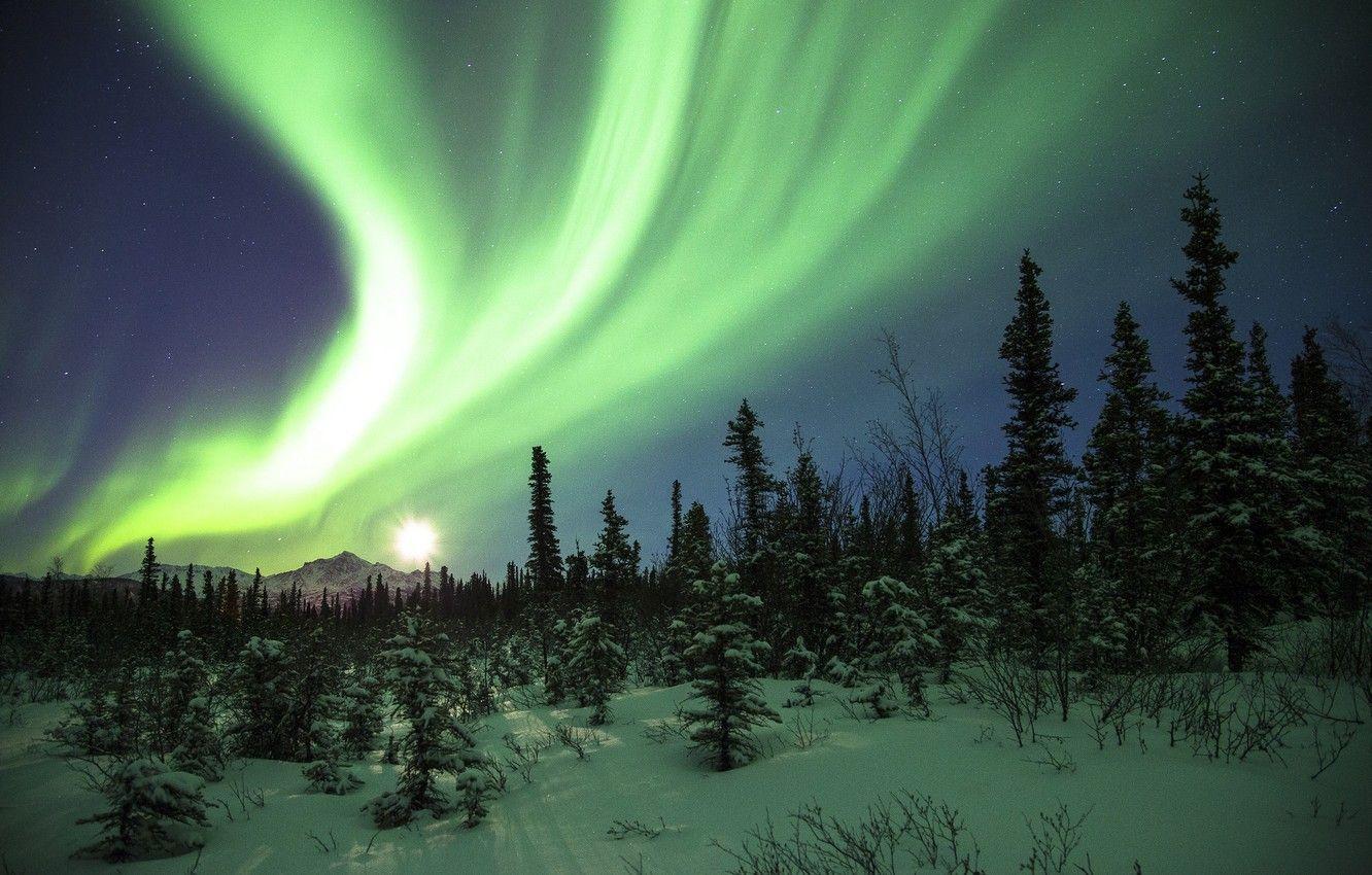 1332x850 Wallpaper forest, snow, mountains, night, Northern lights image for desktop, section пейзажи