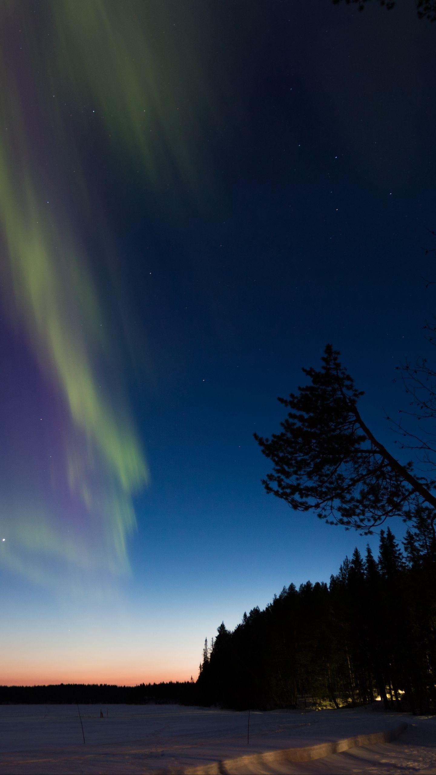 1440x2560 Download wallpaper 1440x2560 northern lights, winter, forest, night, trees qhd samsung galaxy s s edge, note, lg g4 HD background