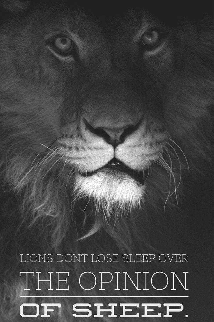 736x1108 Learn to Love Yourself: Be a Lion
