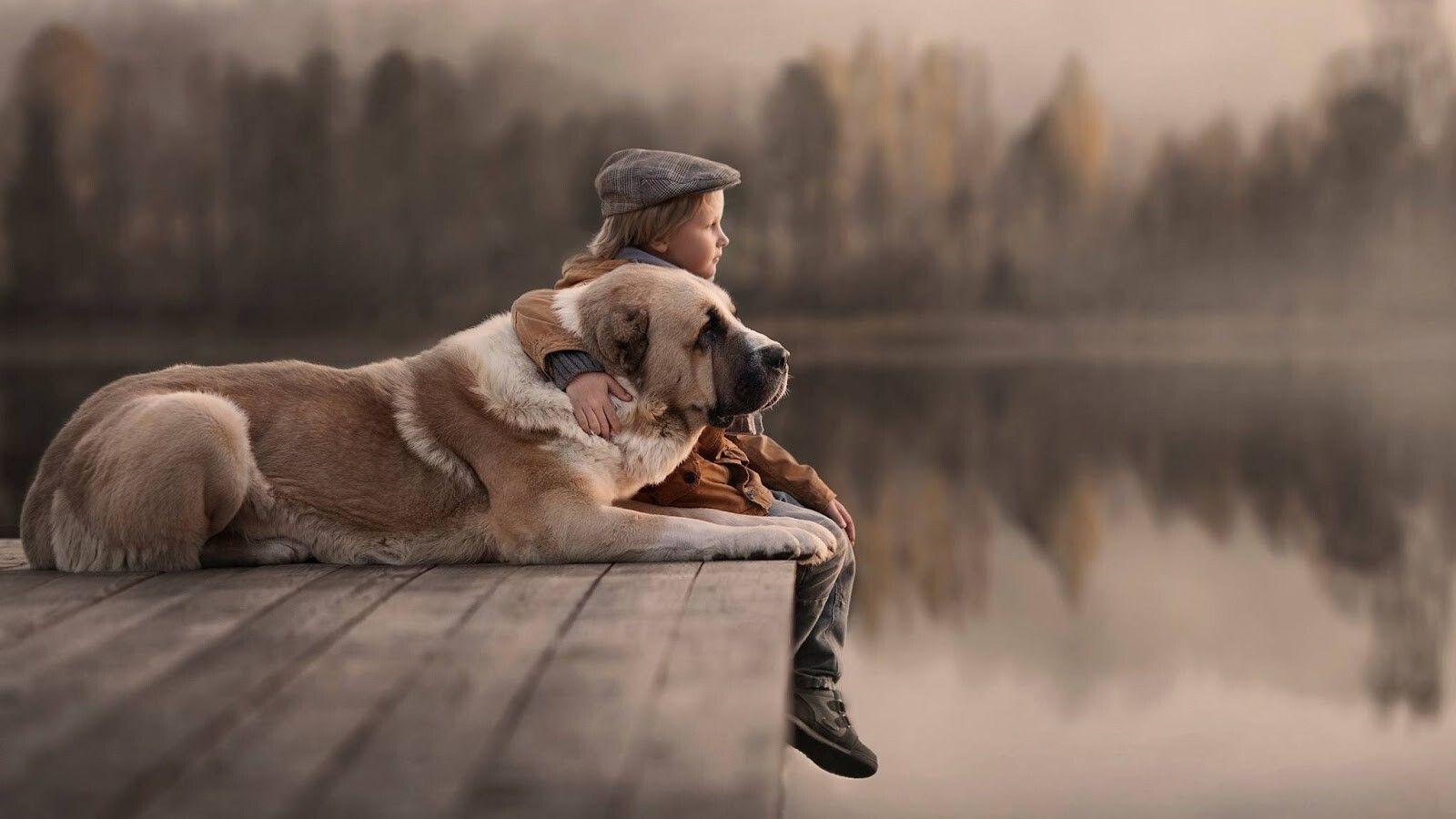 1600x900 Kids And Dogs 1600x900 Resolution HD 4k Wallpaper, Image, Background, Photo and Picture