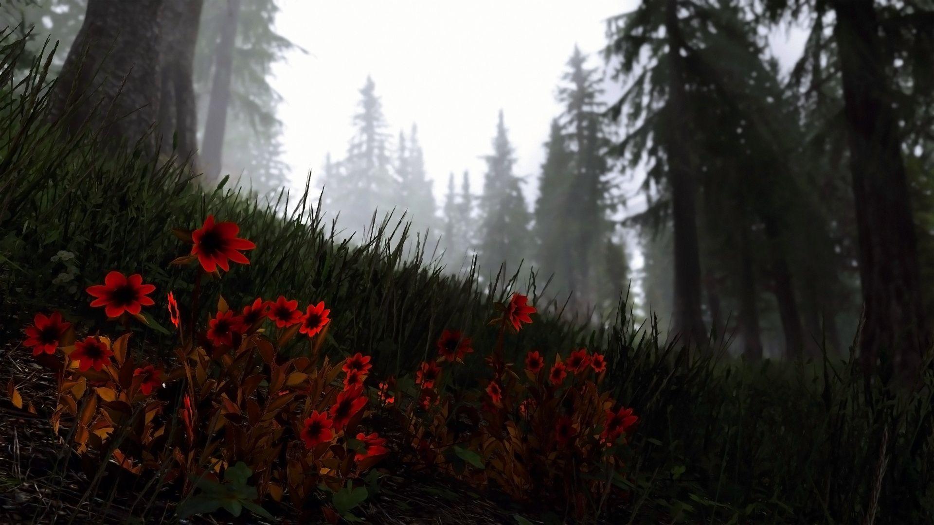 1920x1080 Download Landscape, grass, The Elder Scrolls V: Skyrim wallpaper, 1920x Full HD, HDTV, FHD, 1080p