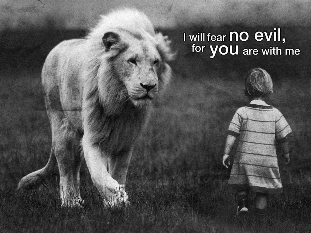 1024x768 Lion Quotes Wallpaper