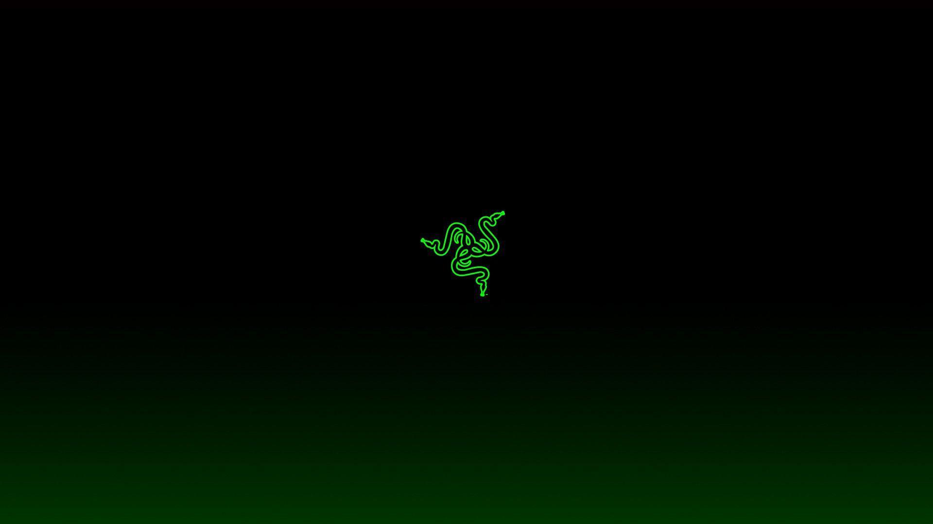 Download Razer wallpapers virtual backgrounds and videos  Razer  AsiaPacific