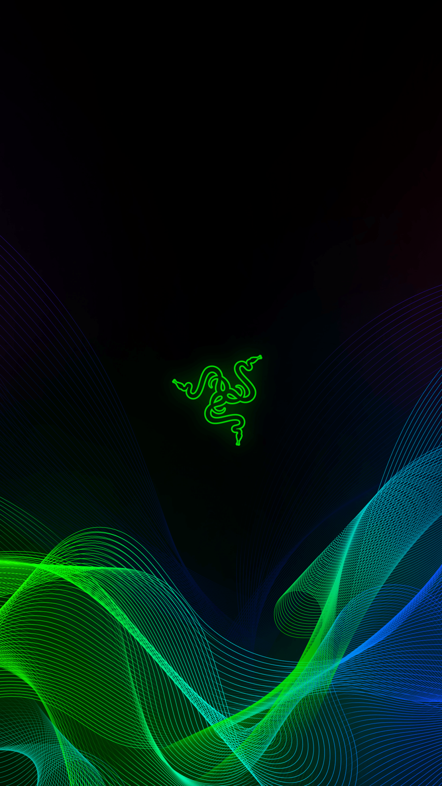 Black Razer Wallpapers - Top Free Black Razer Backgrounds - WallpaperAccess