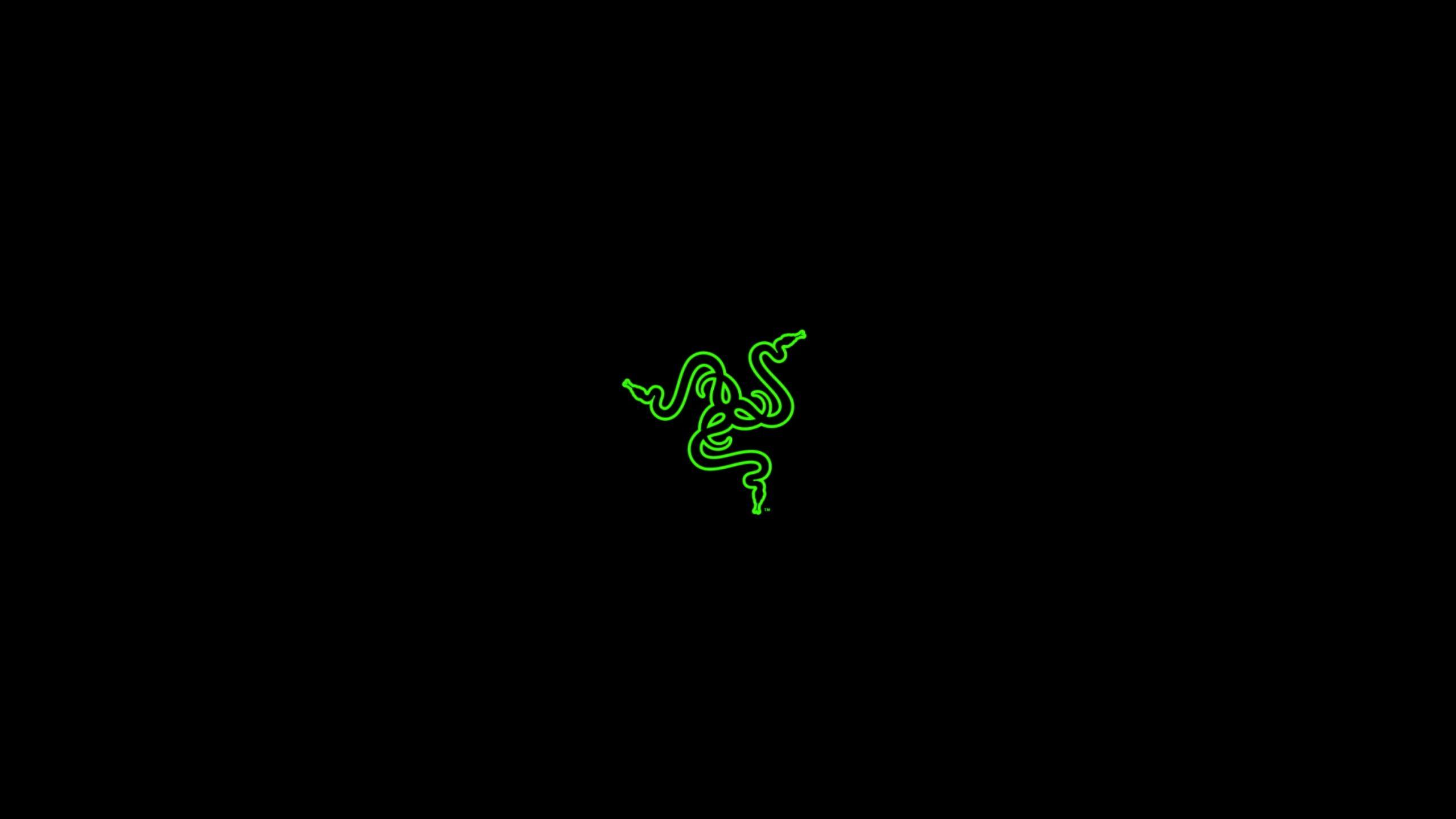 Featured image of post Green Razer Desktop Background We have a massive amount of hd images that will make your computer or smartphone look absolutely fresh