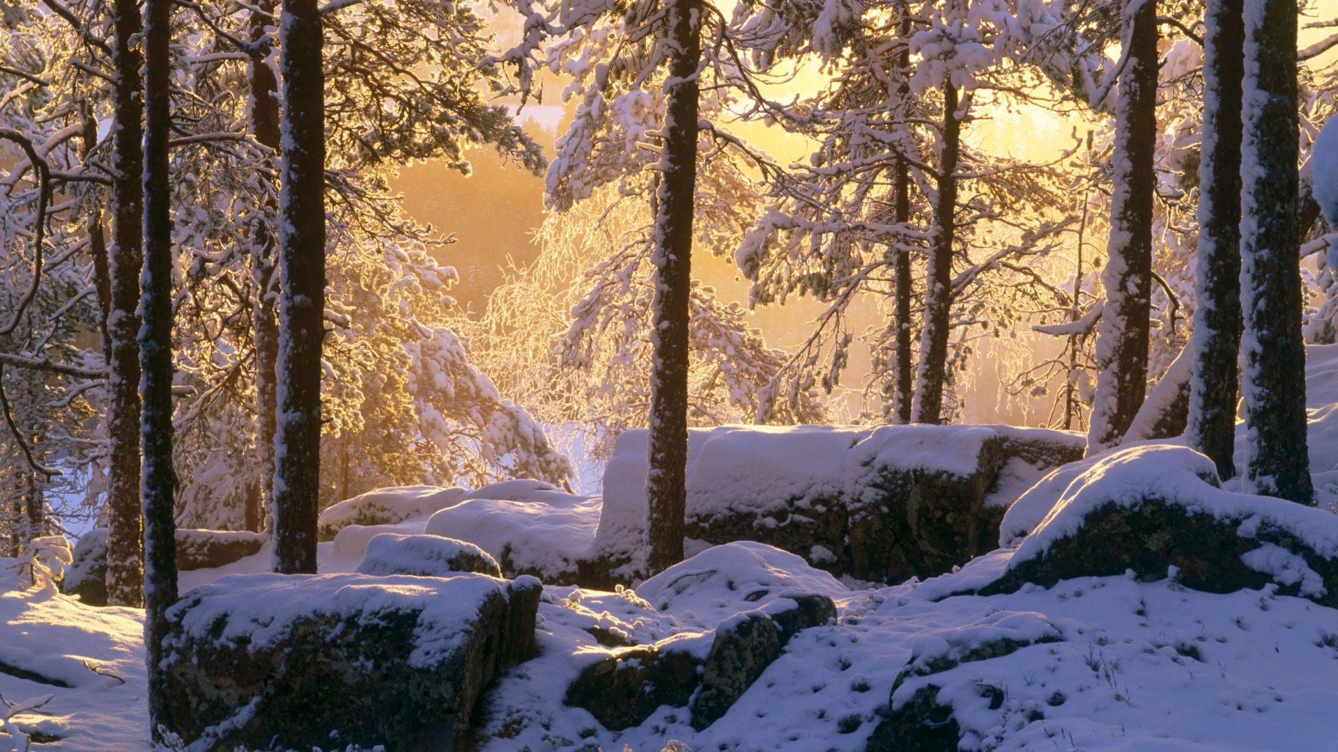 1920x1080 Swedish Landscape Wallpaper