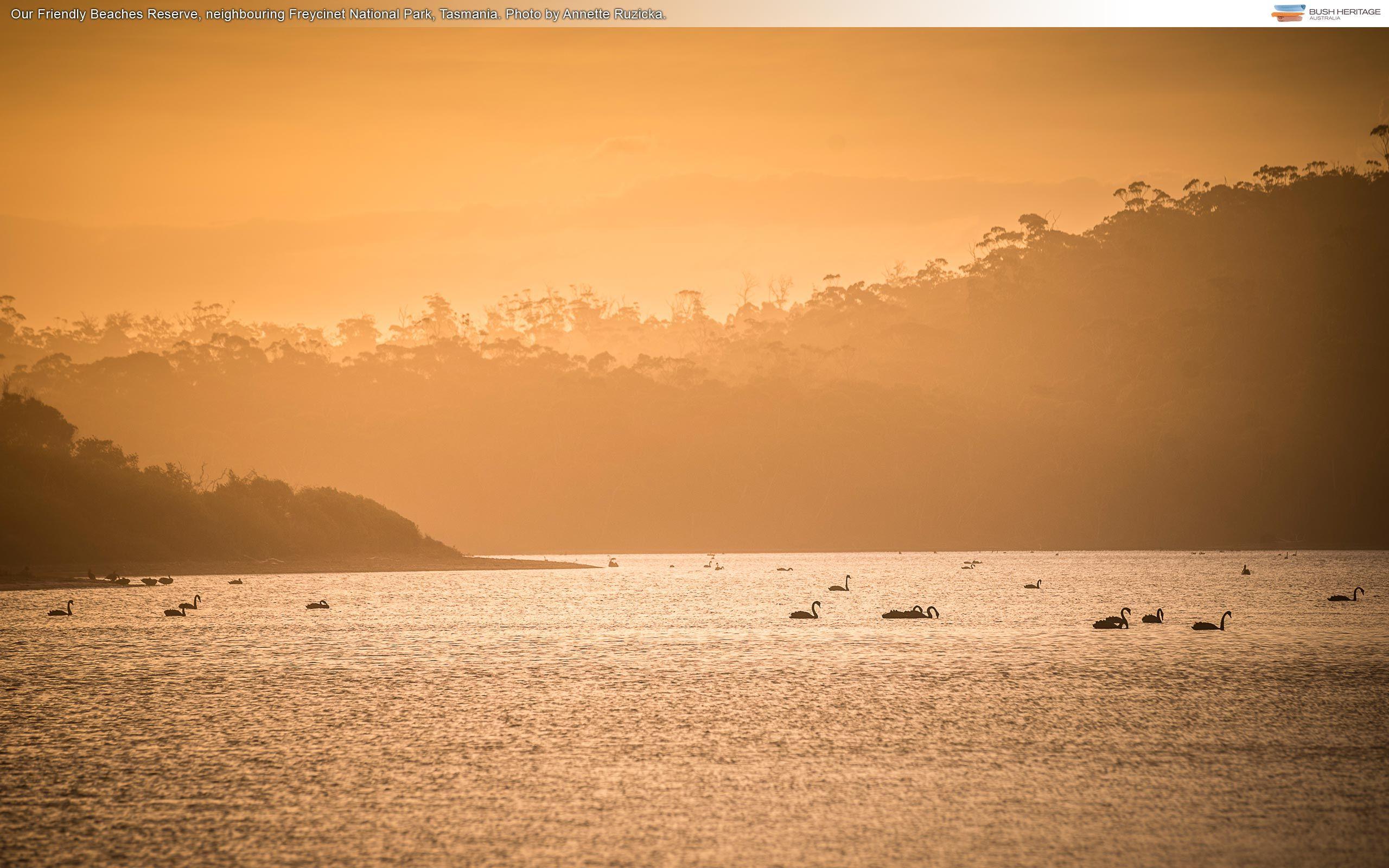 2560x1600 Free Desktop Wallpaper Heritage Australia