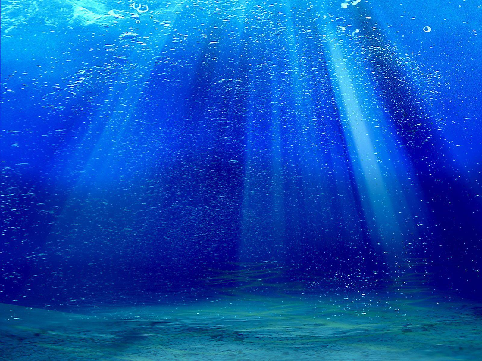 20000 Free Blue Sea  Sea Images  Pixabay