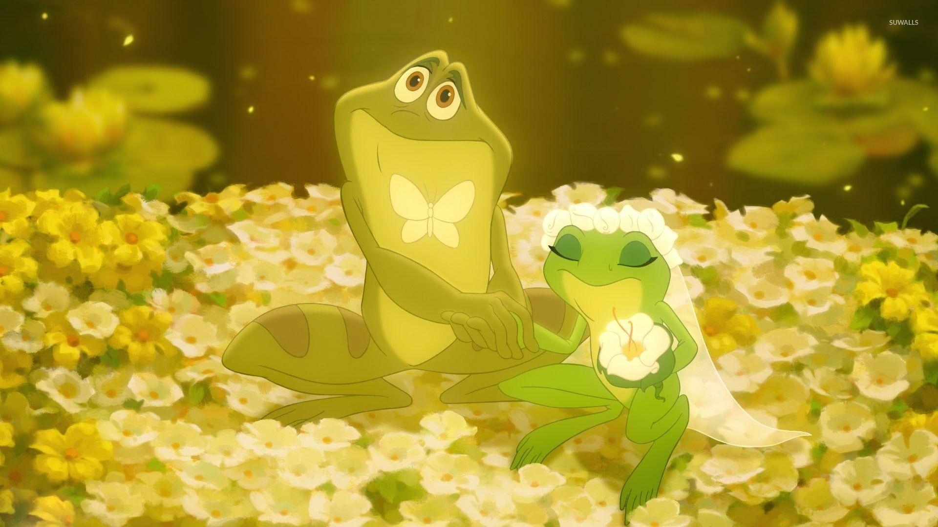 1920x1080 The Princess and the Frog [2] wallpaper wallpaper