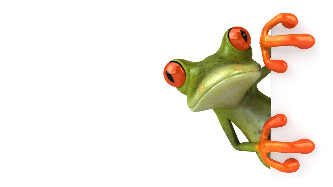 1366x768 Frogman Wallpaper. G Shock Frogman HD Wallpaper, Frogman Wallpaper And Casio Frogman Wallpaper