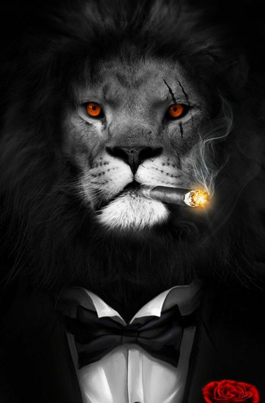 Evil Lions Wallpapers - Top Free Evil Lions Backgrounds ...
