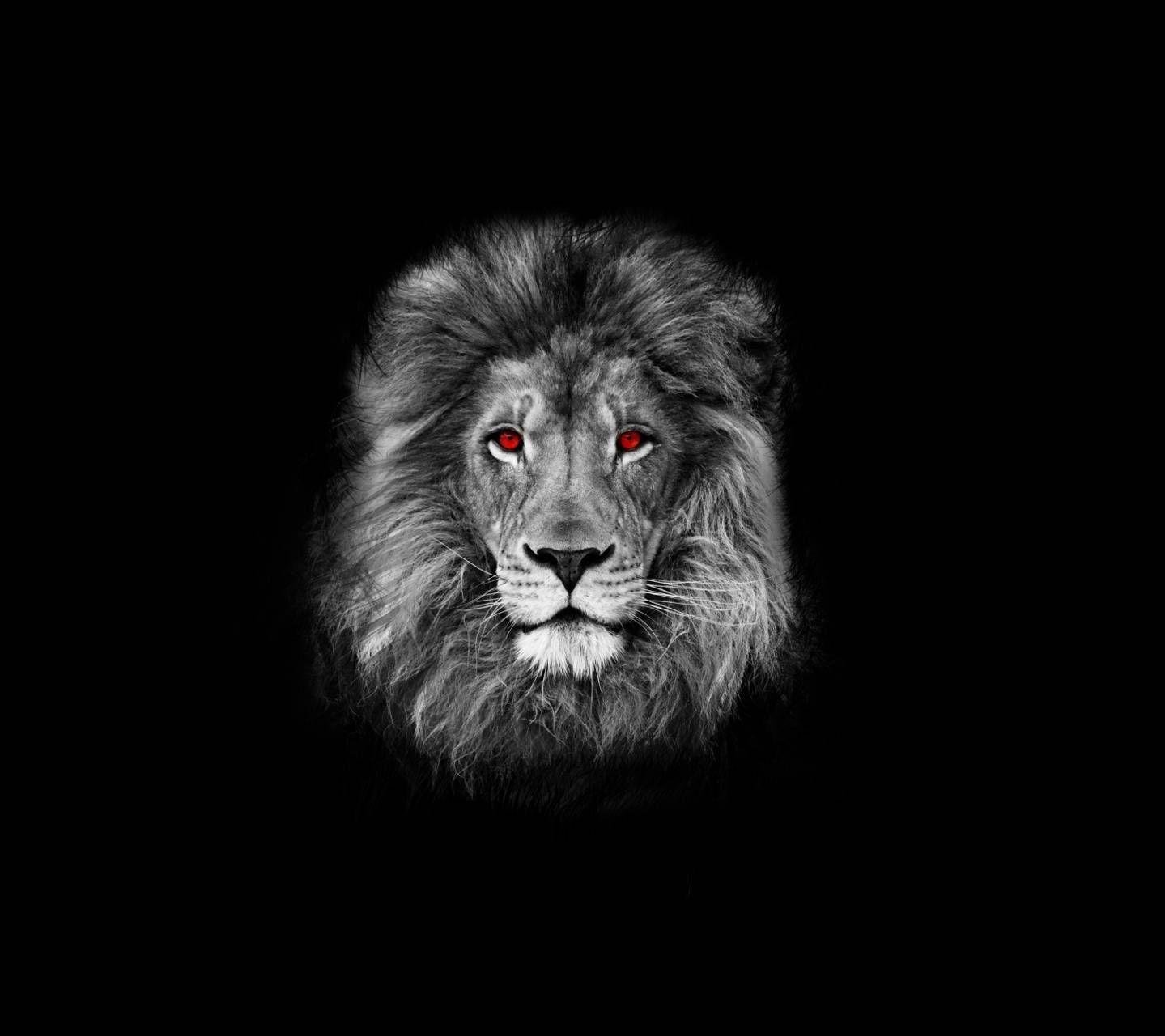 Evil Lions Wallpapers - Top Những Hình Ảnh Đẹp