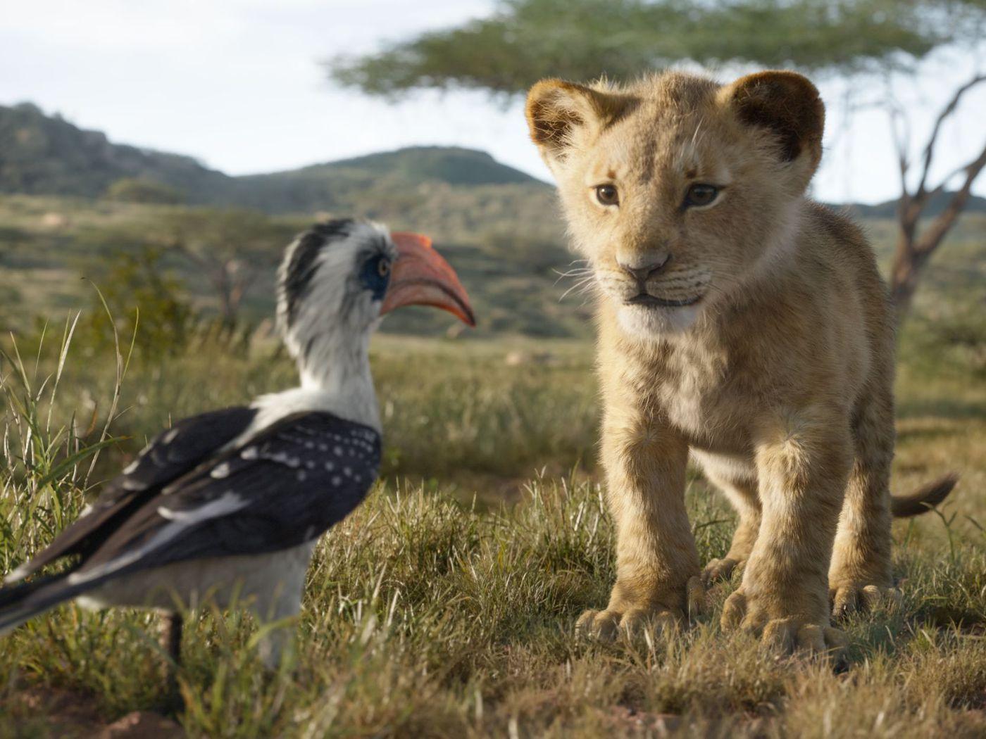 Đánh giá 1400x1050 Lion King 2019: Disney