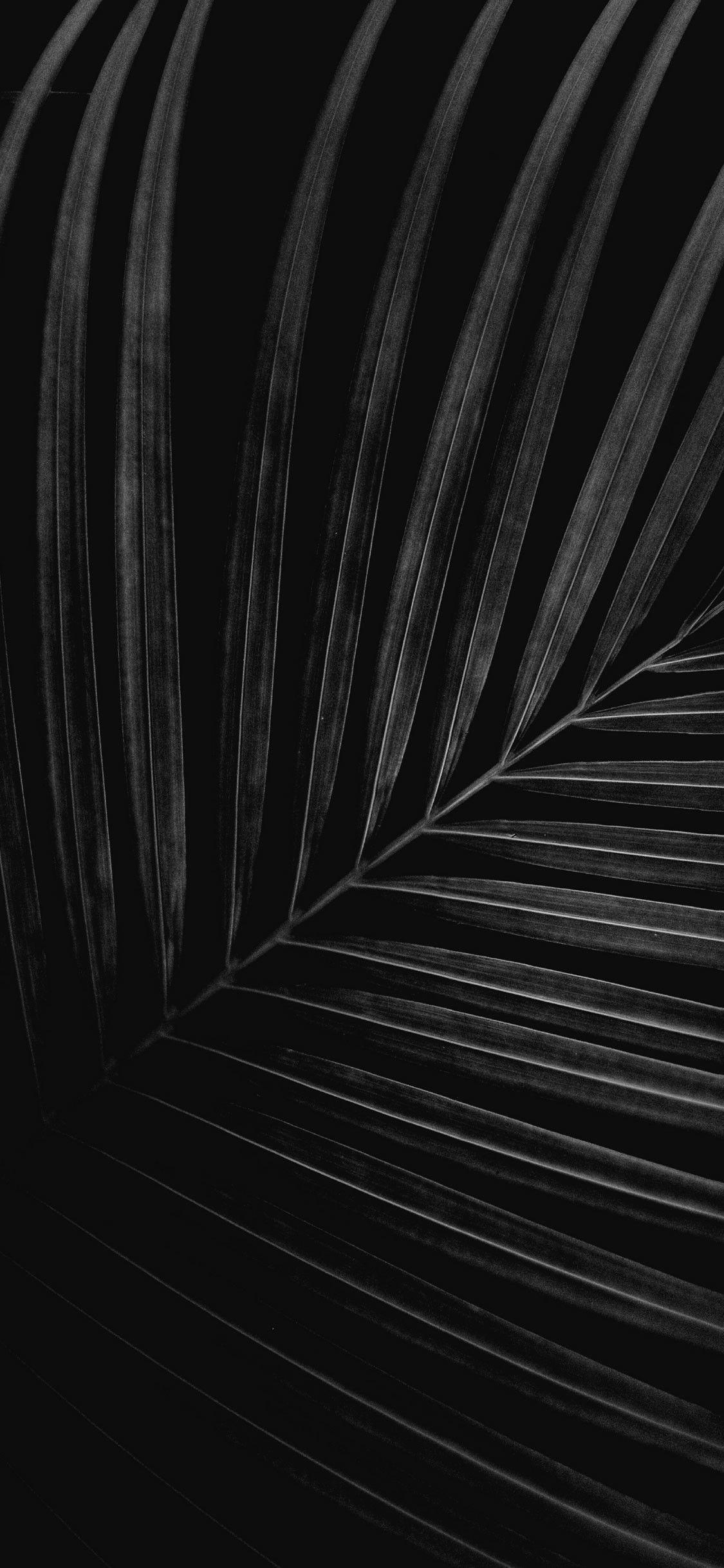 1125x2436 HD Dark Wallpaper