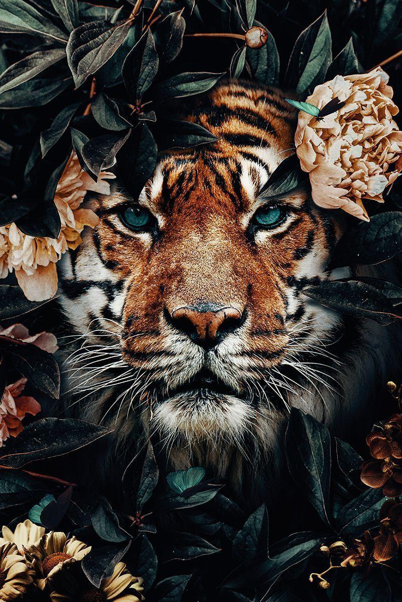  Aesthetic  Tiger  Wallpapers  Top Free Aesthetic  Tiger  