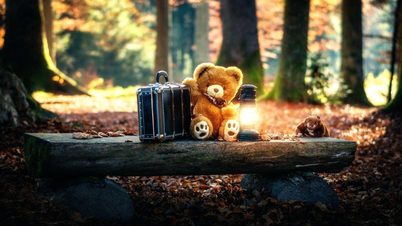 Hình nền 1366x768 Teddy Bears Cute Alone in Forest