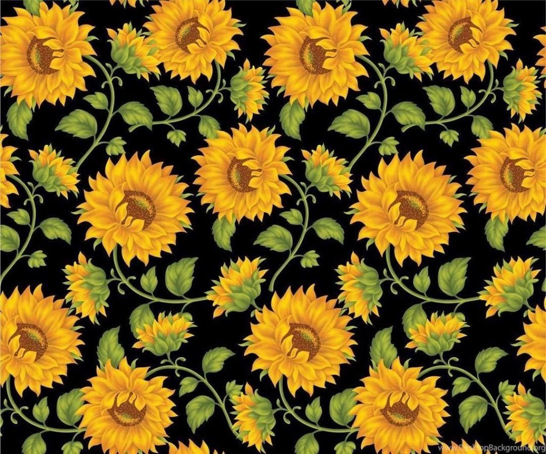 1080x899 Yellow Aesthetic Sunflowers HD Wallpaper (Desktop Background / Android / iPhone) (1080p, 4k) (1080x899) (2020)