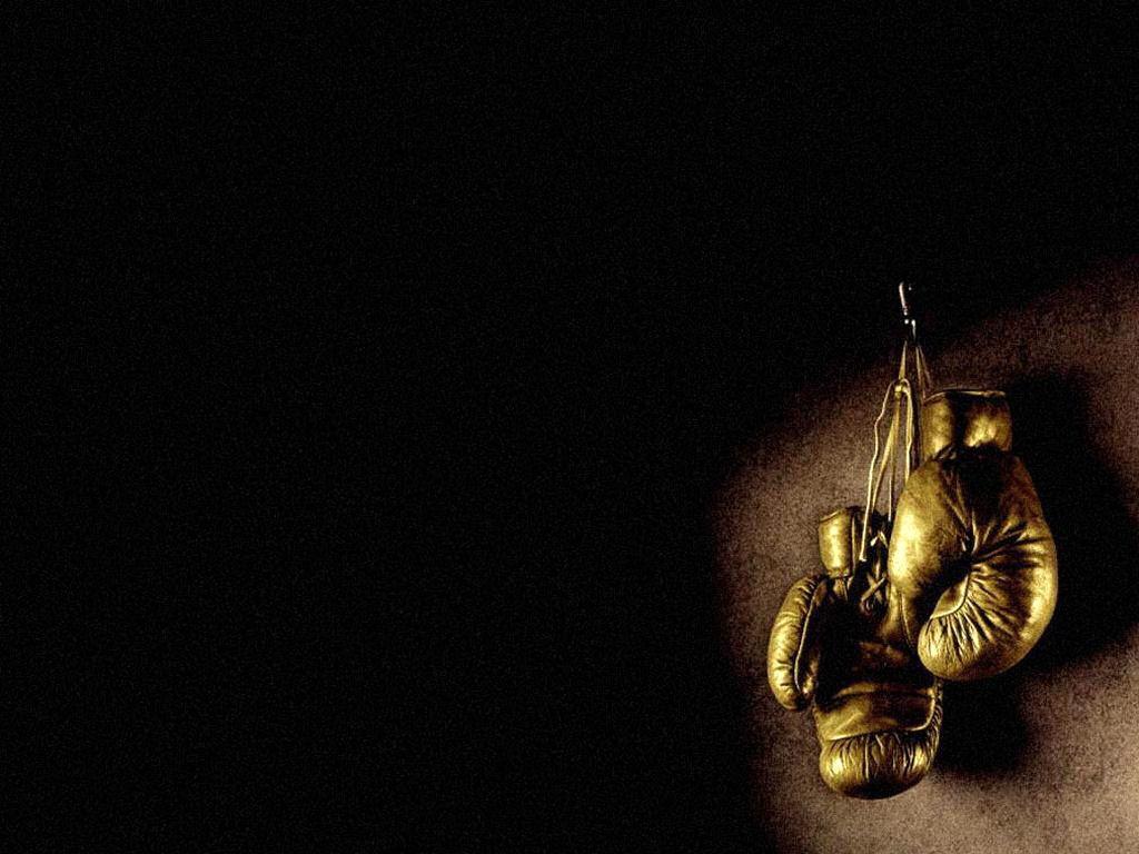 1024x768 Download wallpaper: gold boxing gloves photo, wallpaper for desktop, download