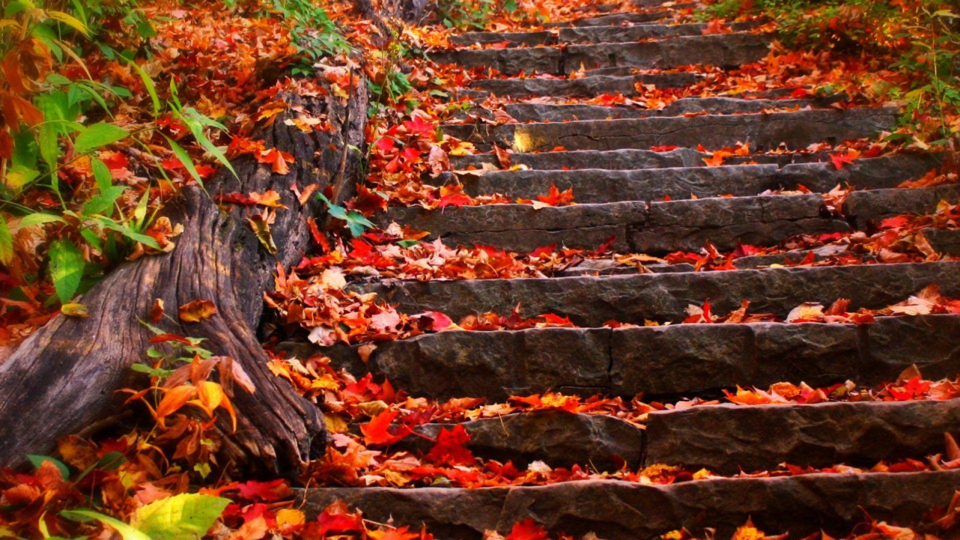 1920x1080 Autumn steps fall foliage leaves wallpaperx1080