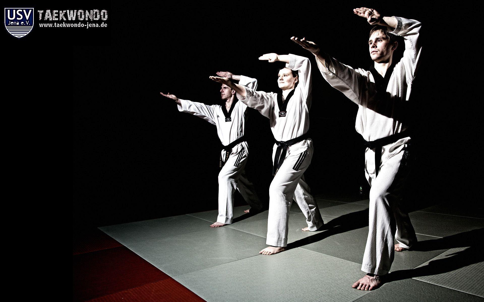 1920x1200 Taekwondo Wallpaper And Background. Taekwondo, Taekwondo forms, Martial arts quotes