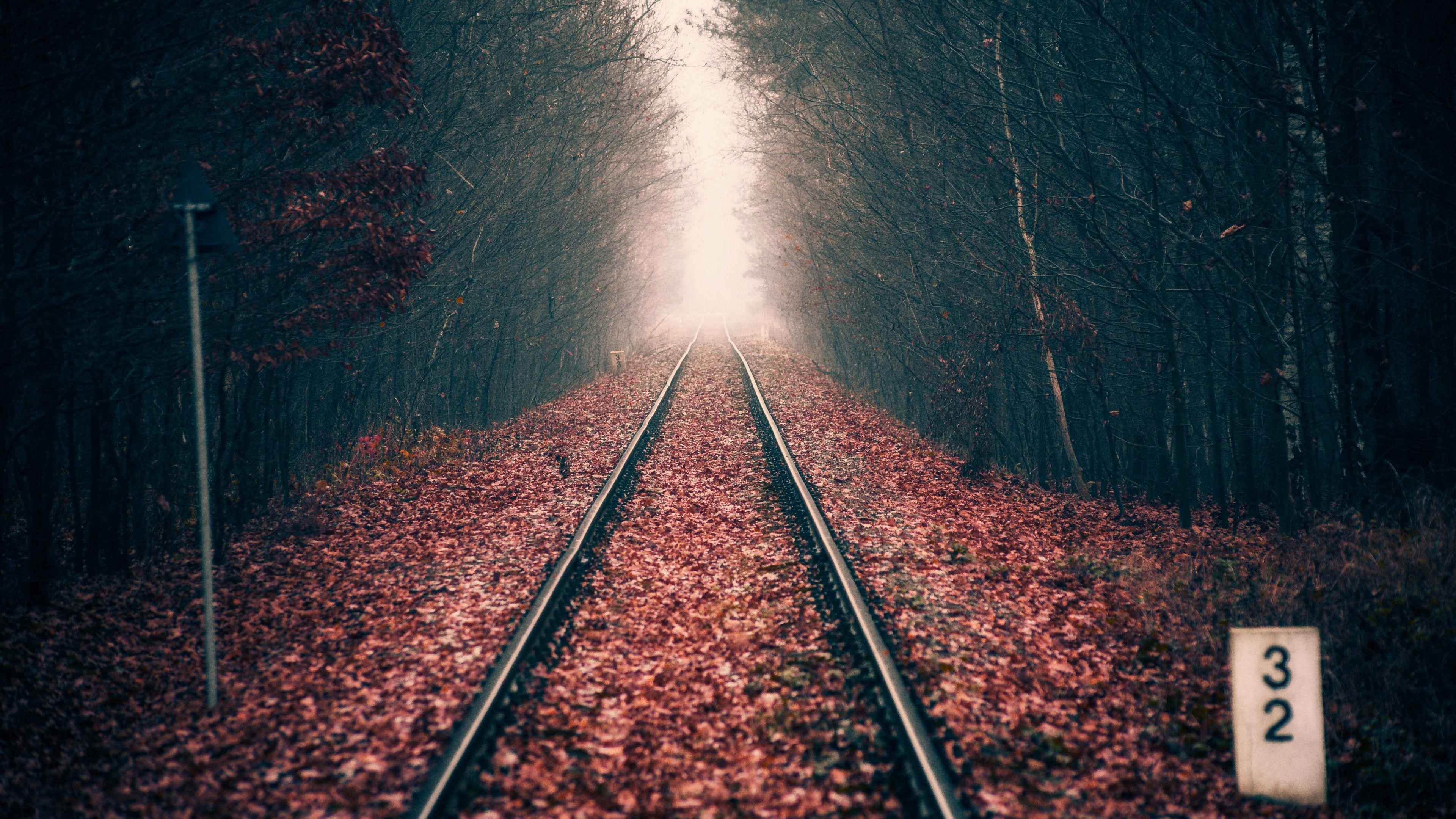 3840x2160 Wallpaper Rail track, Forest, Autumn, 5K, Nature / Editor's Picks,. Wallpaper for iPhone, Android, Mobile and Desktop