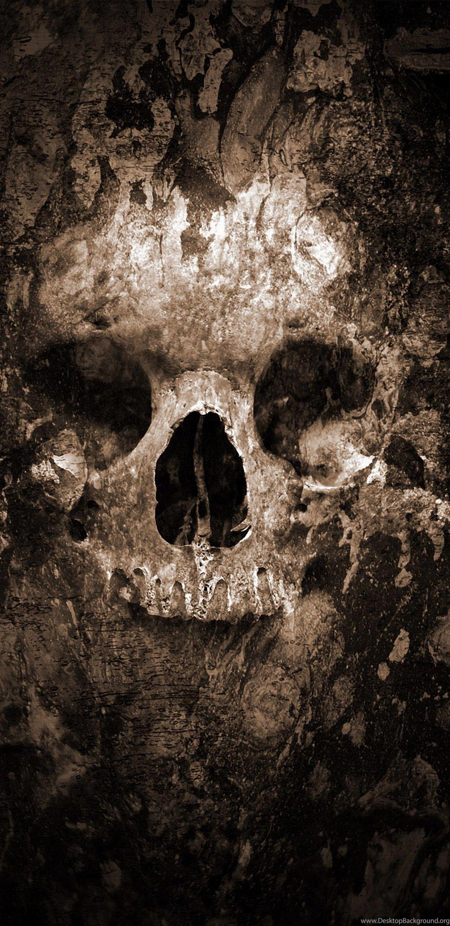 1440x2960 Skull wallpaper tumblr Desktop Background