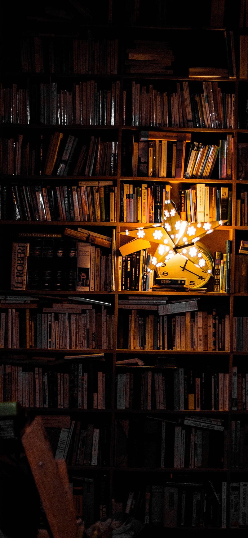 800x1731 HD library background wallpaper