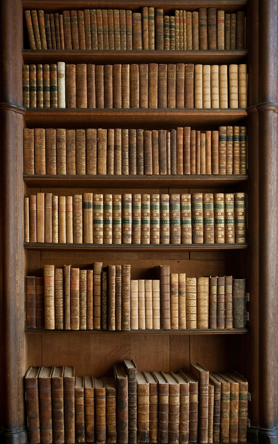 910x1452 Old library 1080P, 2K, 4K, 5K HD wallpaper free download