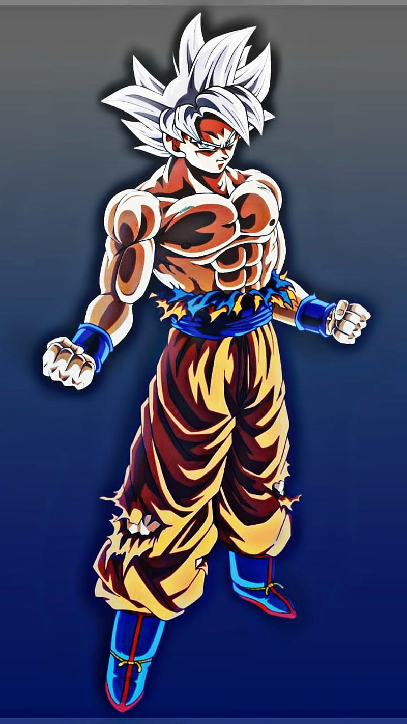 800x1422 Goku Ultra Instinct, dragon ball, dragon ball gt, dragon ball super, dragon ball z, HD phone wallpaper