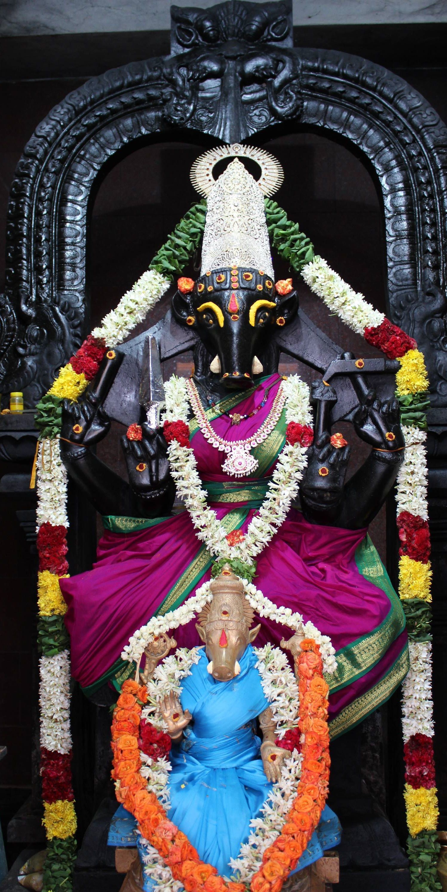 1497x2986 Varahi Amman ideas. varahi amman image, varahi devi photo, lord varahi devi